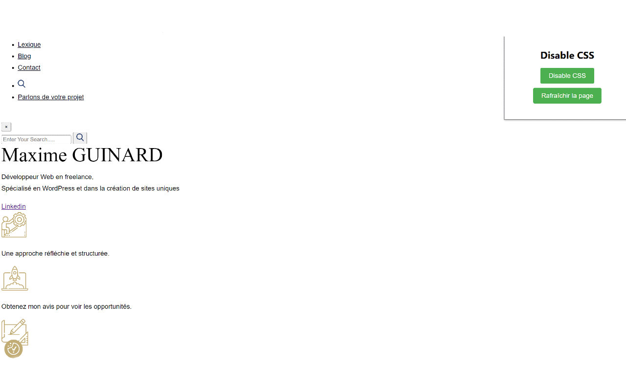 Disable CSS 📋 - 截图 3