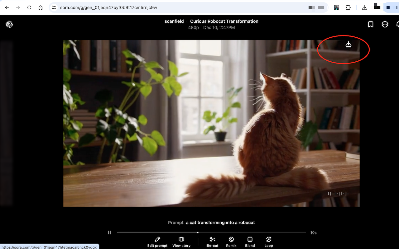 Sora Video Downloader - 截图 3