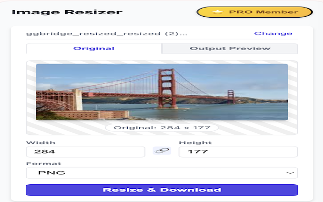 Image Resizer Extension - 截图 2