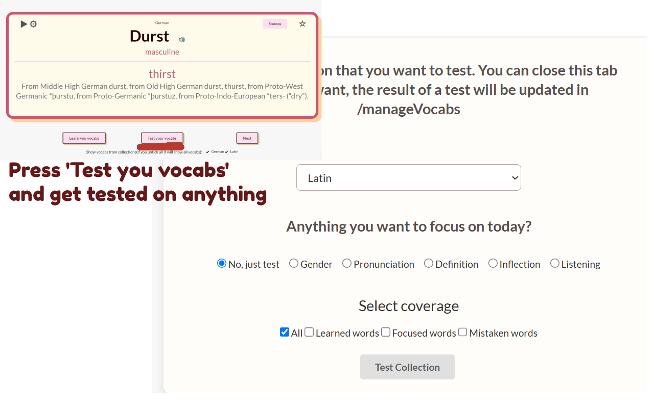 FLIZ - vocab and top most used sites on newtab, vocabulary tool - 截图 5