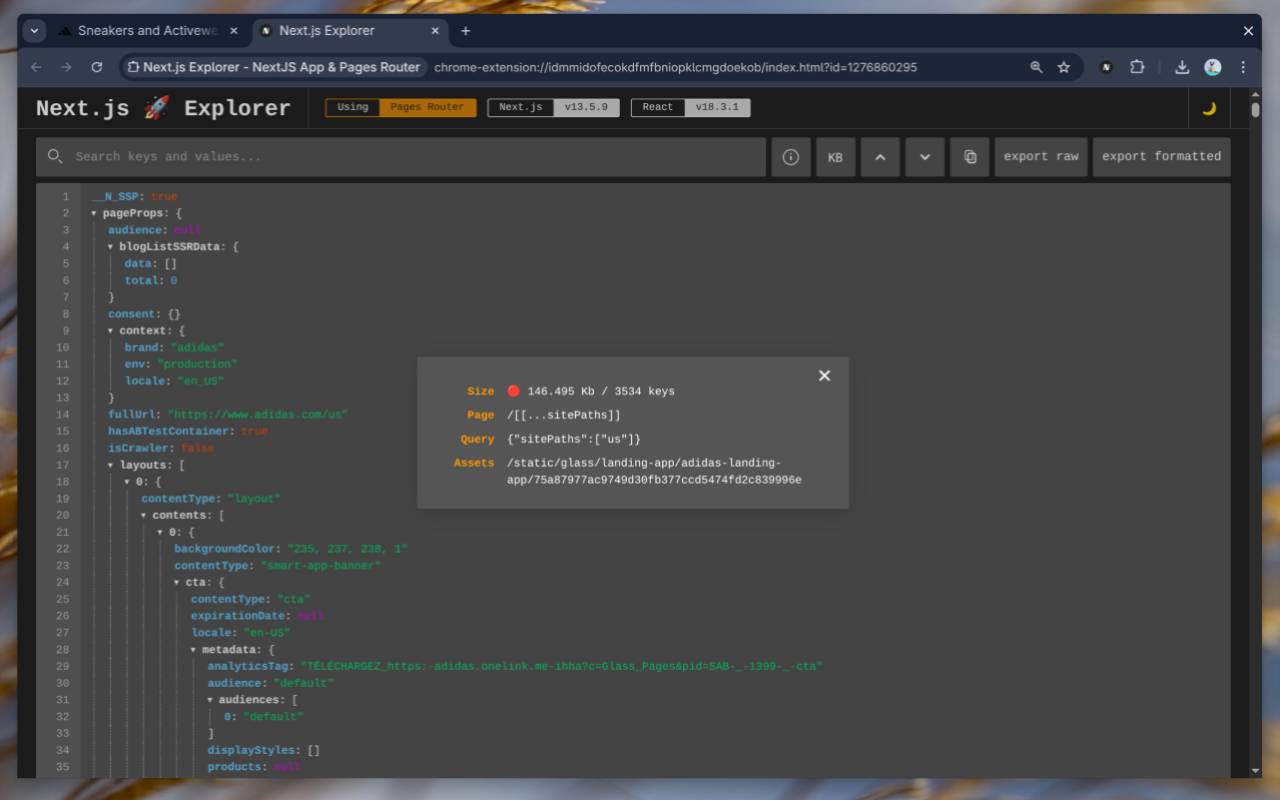 Next.js Explorer - NextJS App & Pages Router - 截图 1