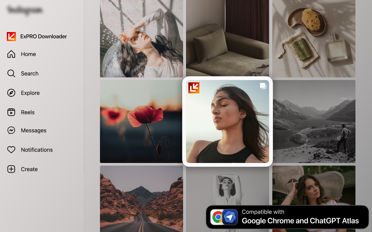 Instagram 下载器 — 适用于 Atlas 浏览器 - 截图 4