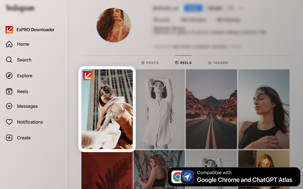 Instagram 下载器 — 适用于 Atlas 浏览器 - 截图 5