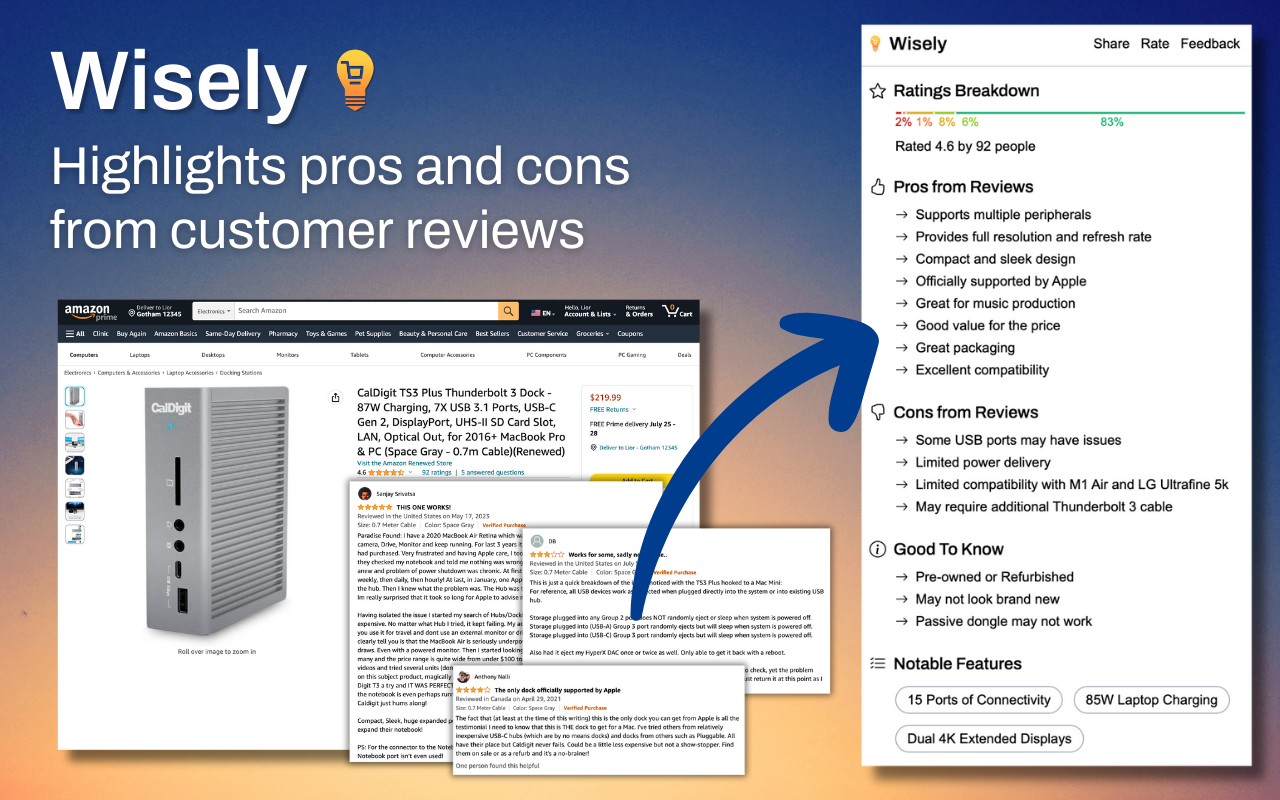 Wisely: AI Summary for Amazon Reviews - 截图 1