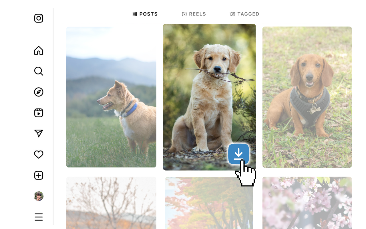 ClickSave Image Downloader - 截图 4