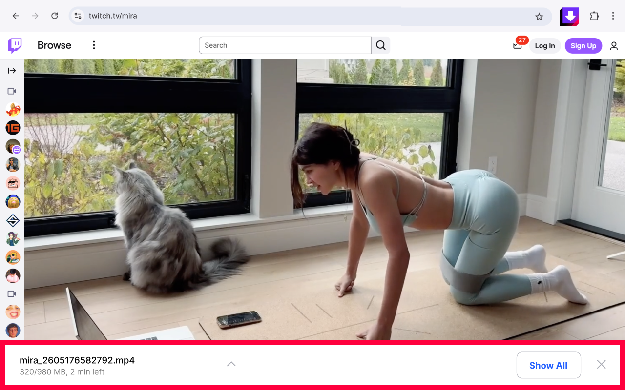 Twitch Downloader - 截图 3