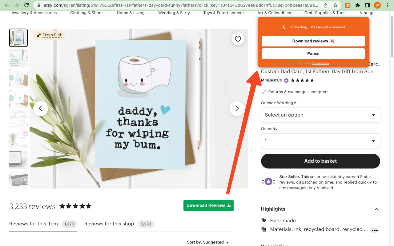 Etsy评论提取工具 - 截图 3