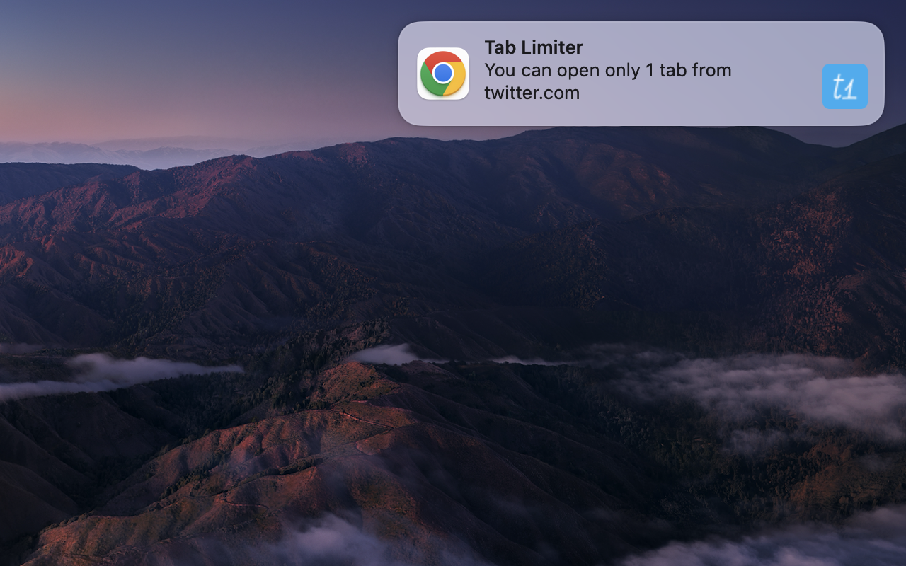 Tab Limiter - 截图 1