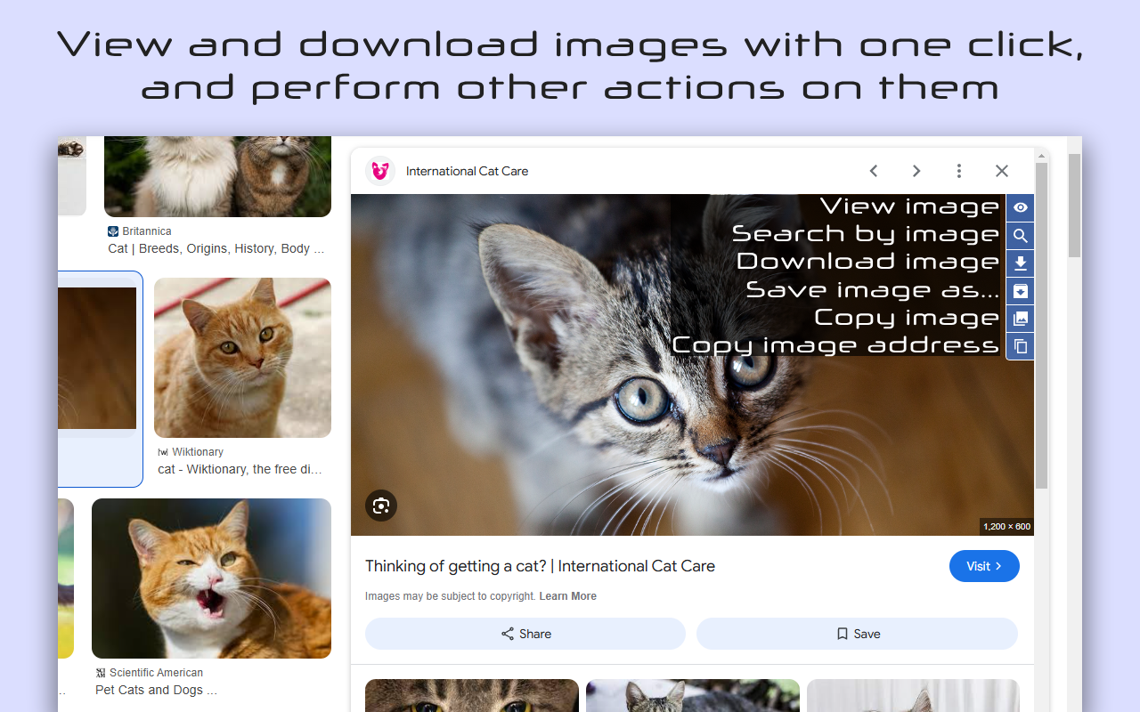 Search Enhancer for Google™ - 截图 2