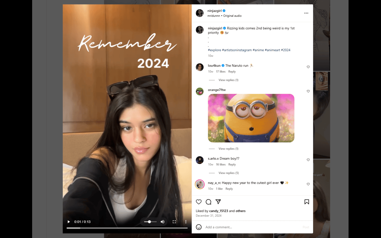 Instagram Fullscreen Viewer - 截图 3