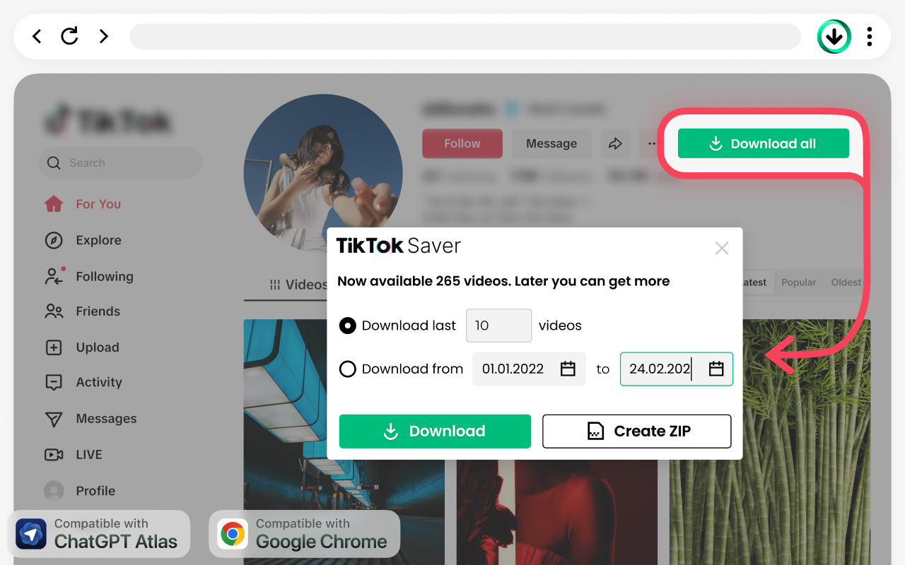 TikTok 视频下载器 – 无水印保存视频 - 截图 1