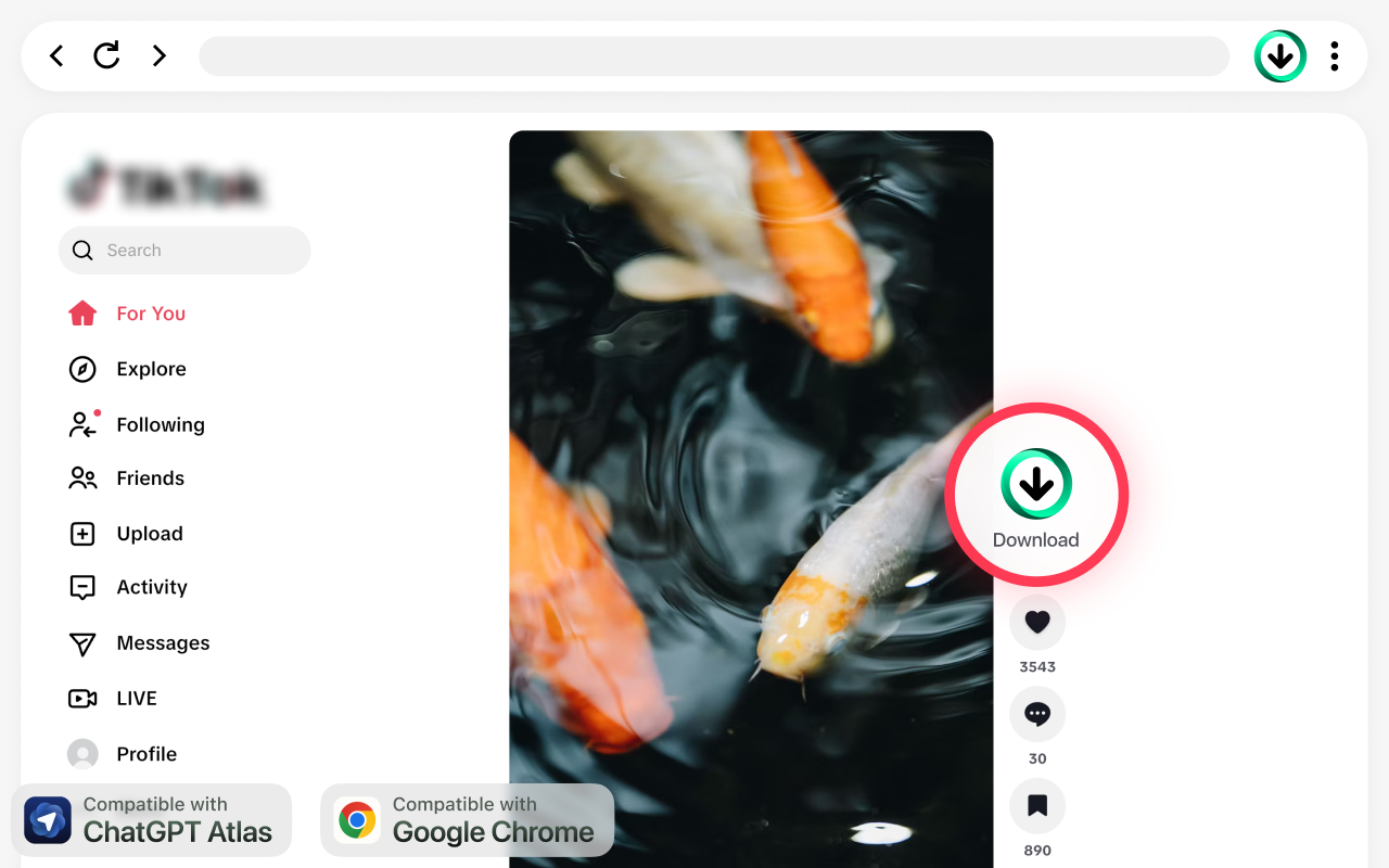 TikTok 视频下载器 – 无水印保存视频 - 截图 3
