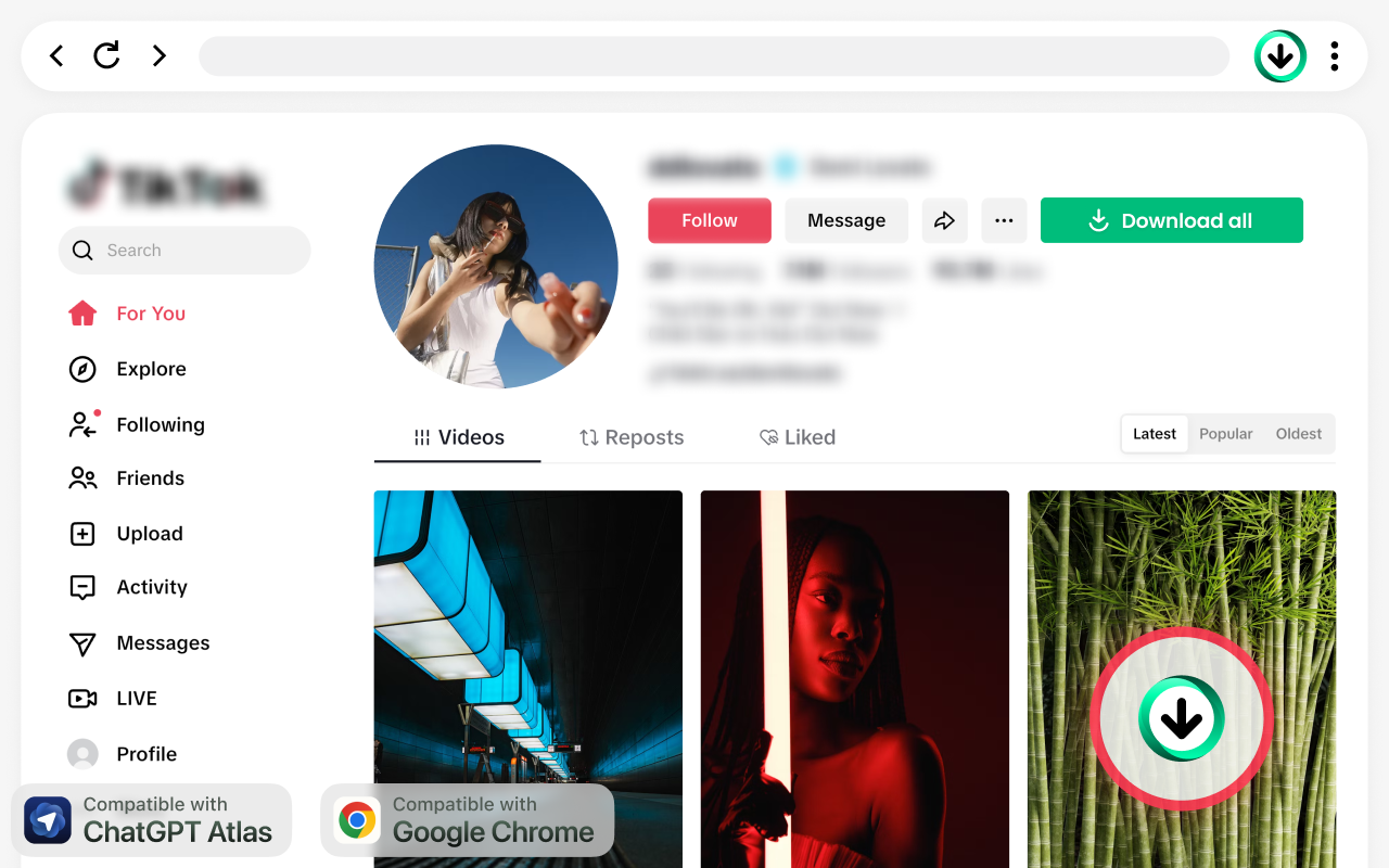 TikTok 视频下载器 – 无水印保存视频 - 截图 4