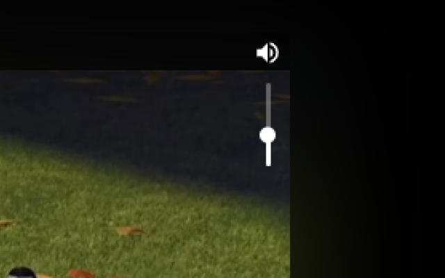 Better Videos for Instagram: Playback & Volume - 截图 2