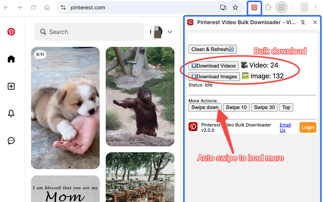 Pinterest Video Bulk Downloader - HD Video and Images - 截图 2