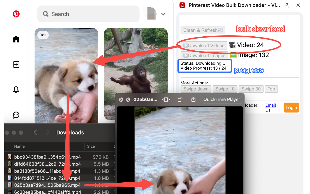 Pinterest Video Bulk Downloader - HD Video and Images - 截图 3