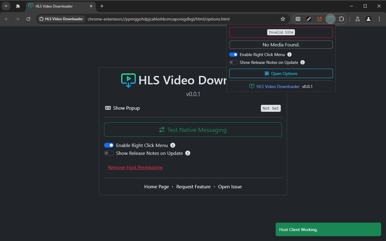 HLS Video Downloader - 截图 1