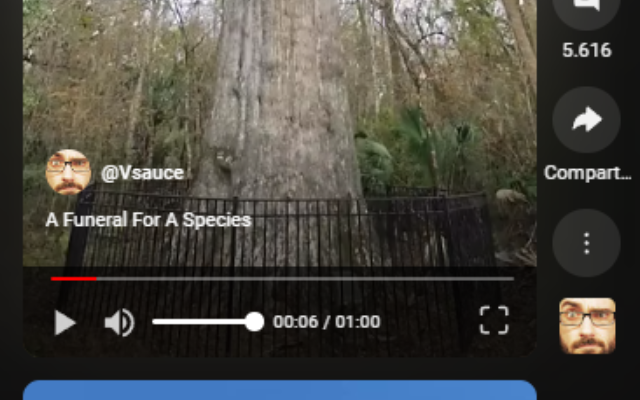 Controls for YouTube™ Shorts - 截图 1