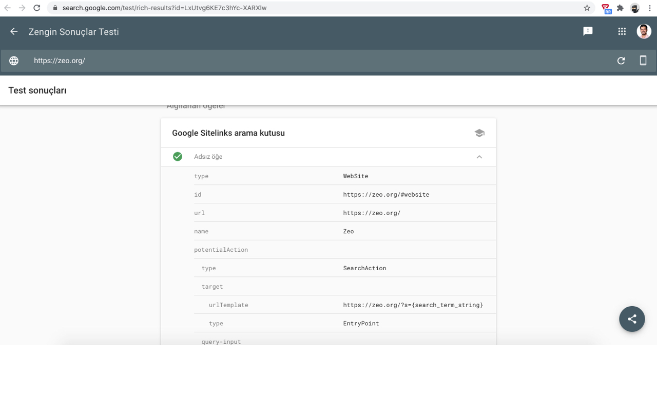 Rich Results - Structured Data Test Plugin - 截图 2