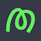 Marker.io: Visual bug reporting for websites