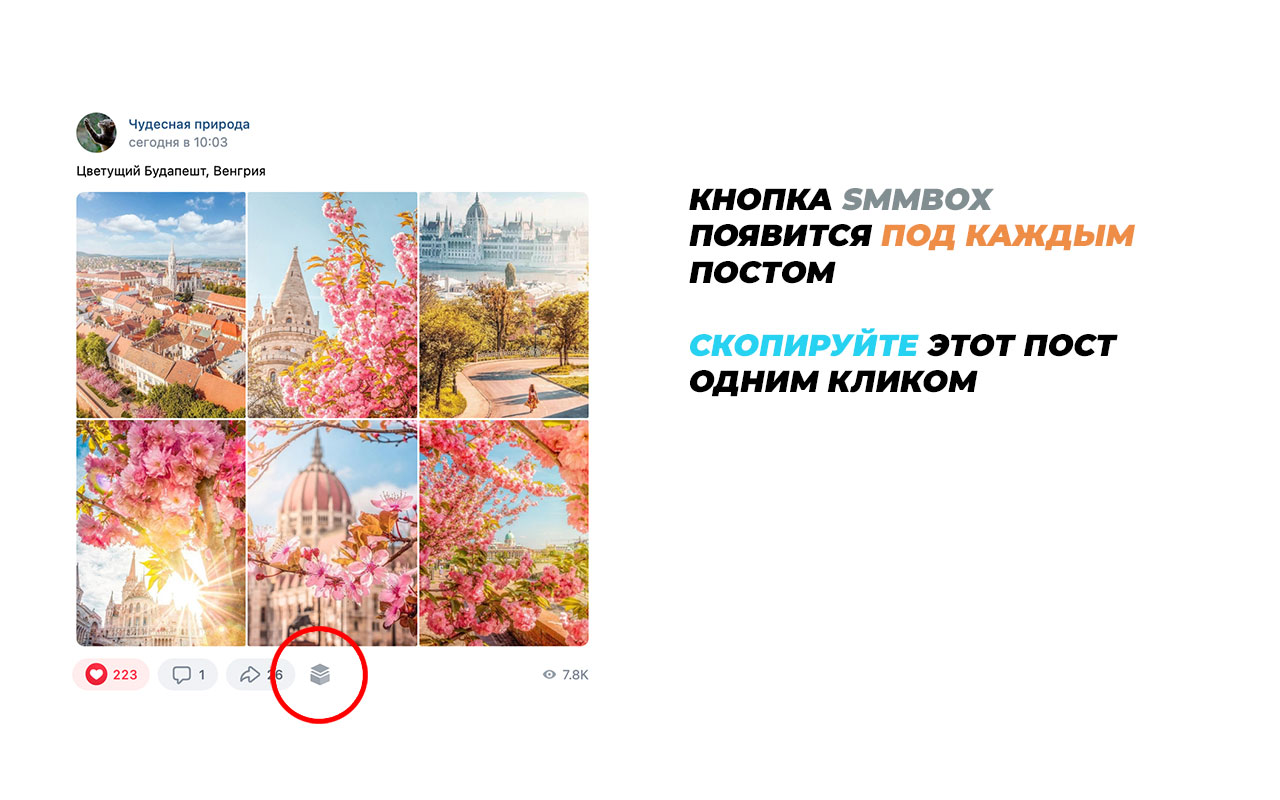 SmmBox - инструмент для СММ - 截图 2