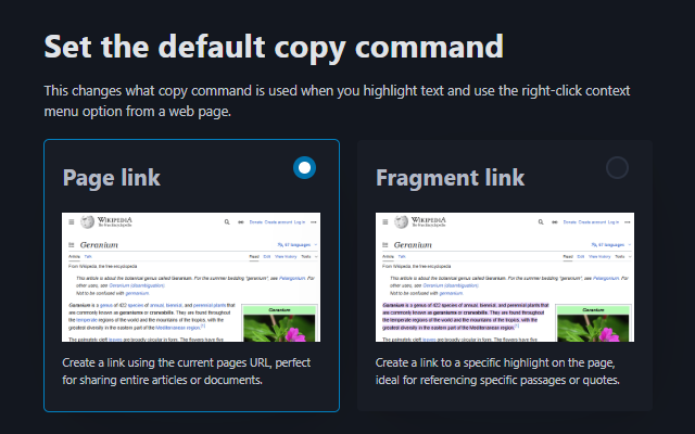Copy Text as Link - 截图 3