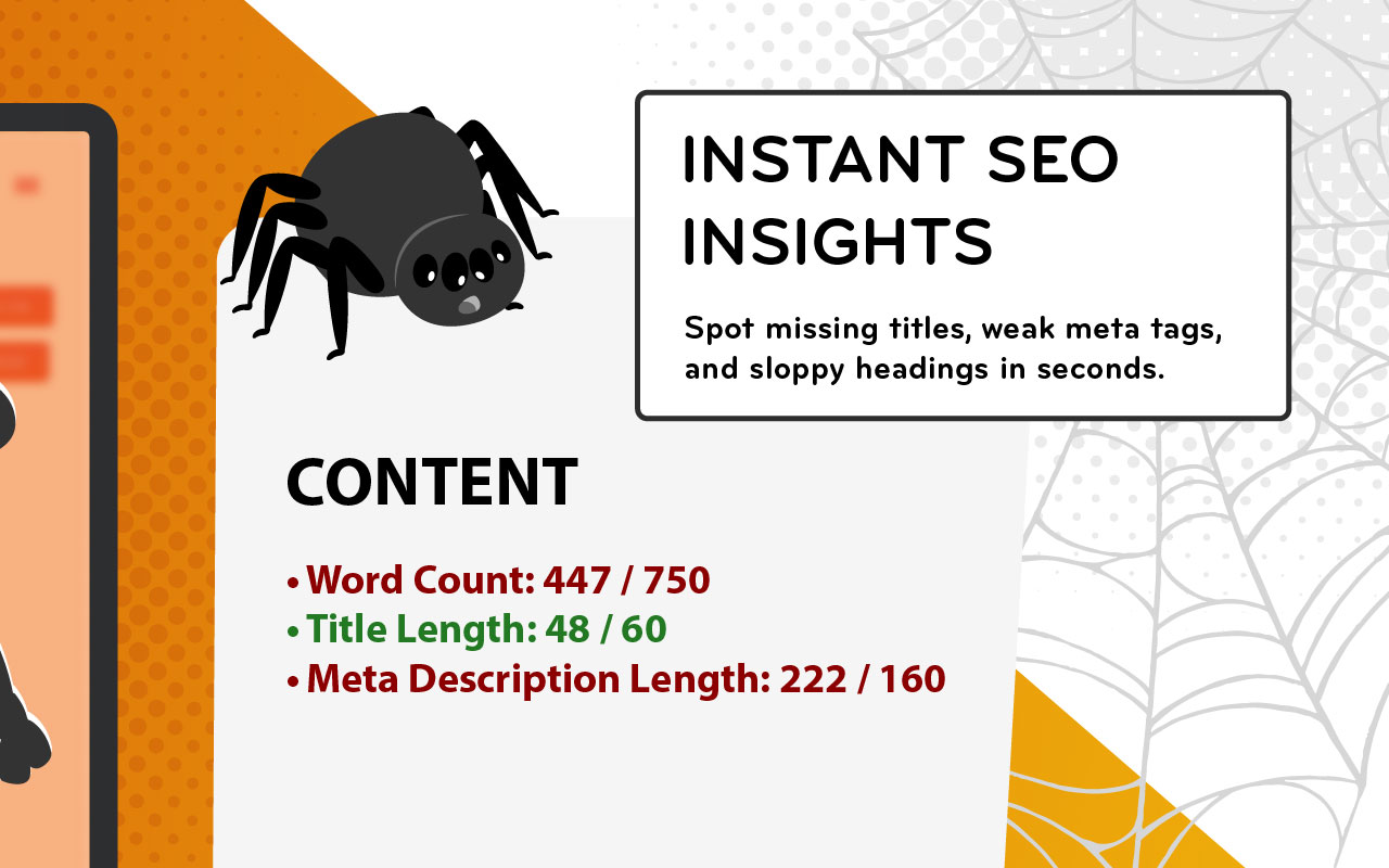 Search Spider - 截图 2