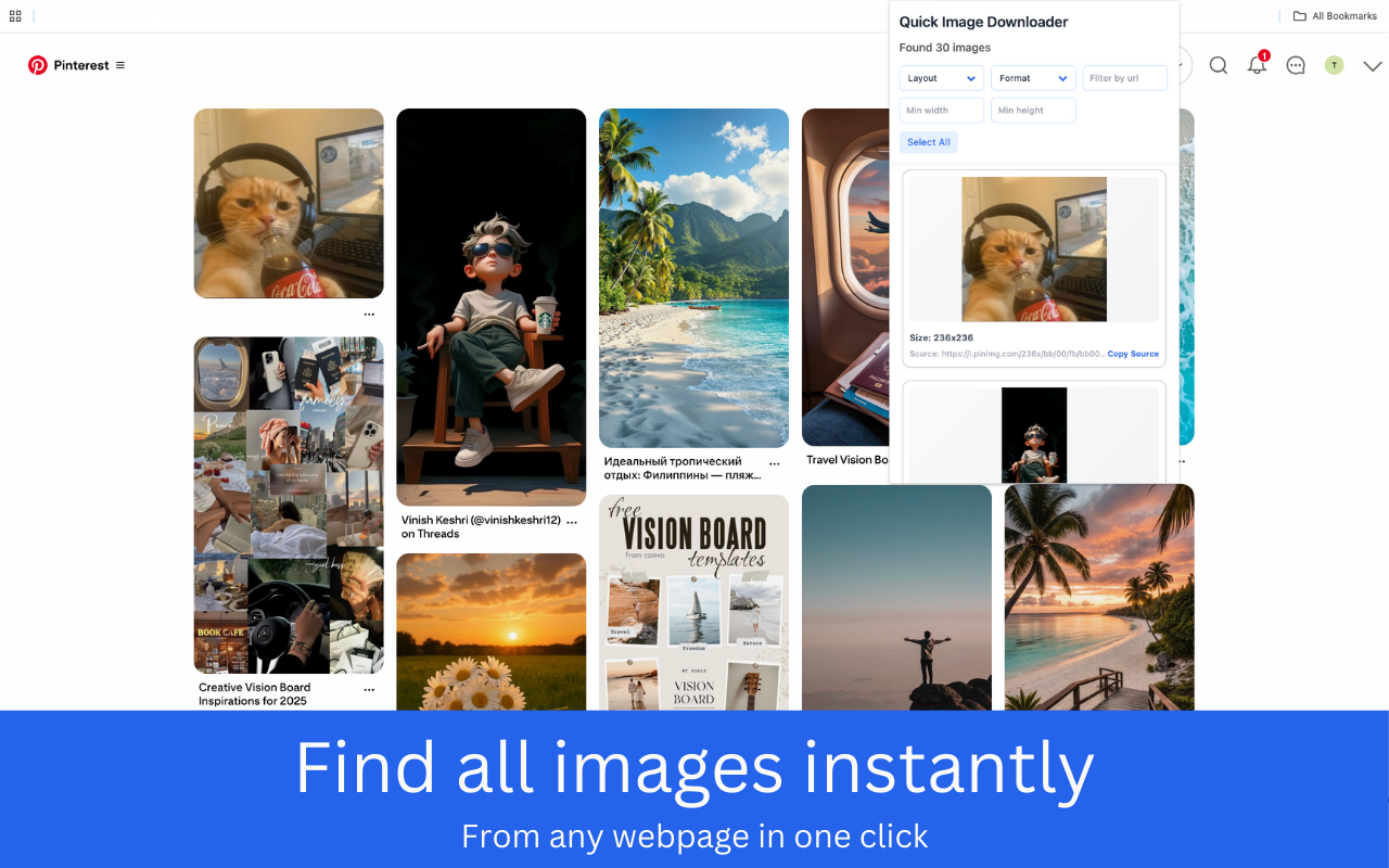 Quick Image Downloader – Bulk & Filter Images - 截图 1