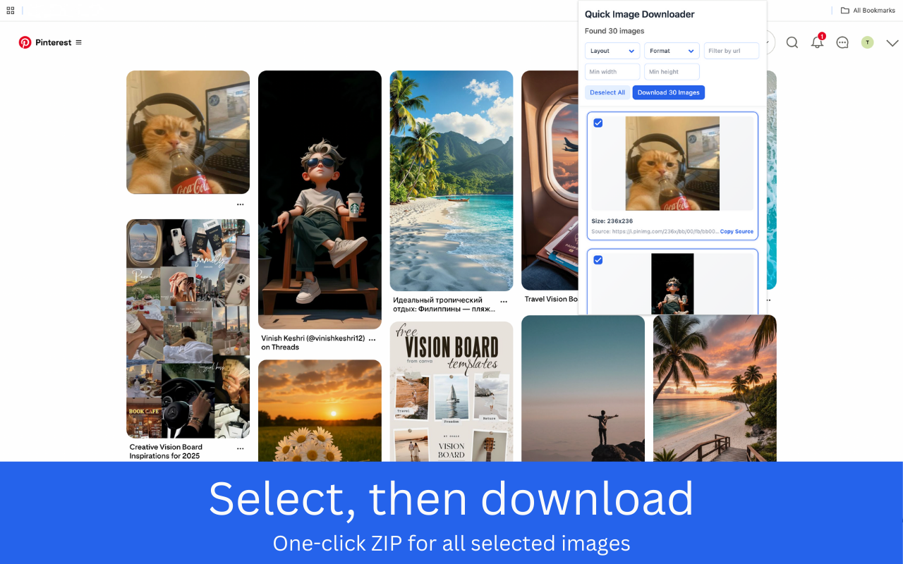 Quick Image Downloader – Bulk & Filter Images - 截图 3