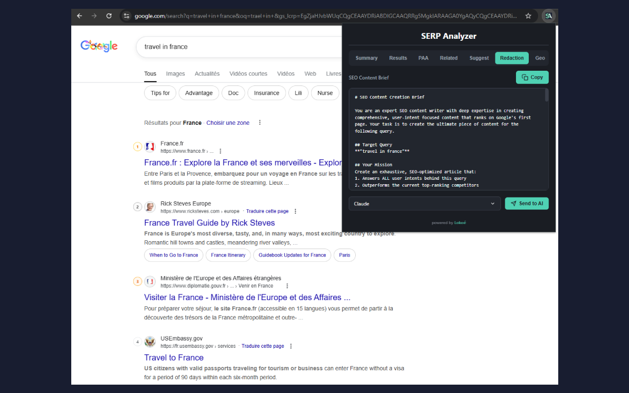 SERP Analyzer - 截图 2