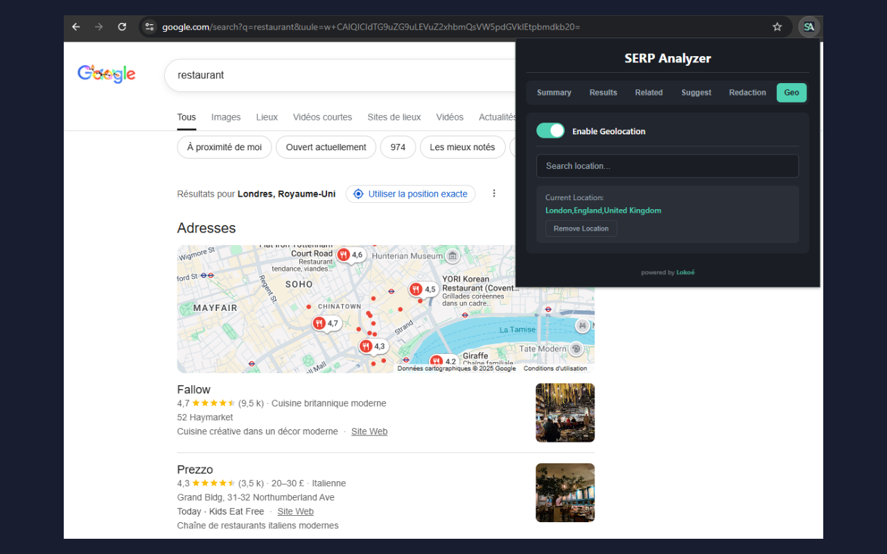 SERP Analyzer - 截图 4
