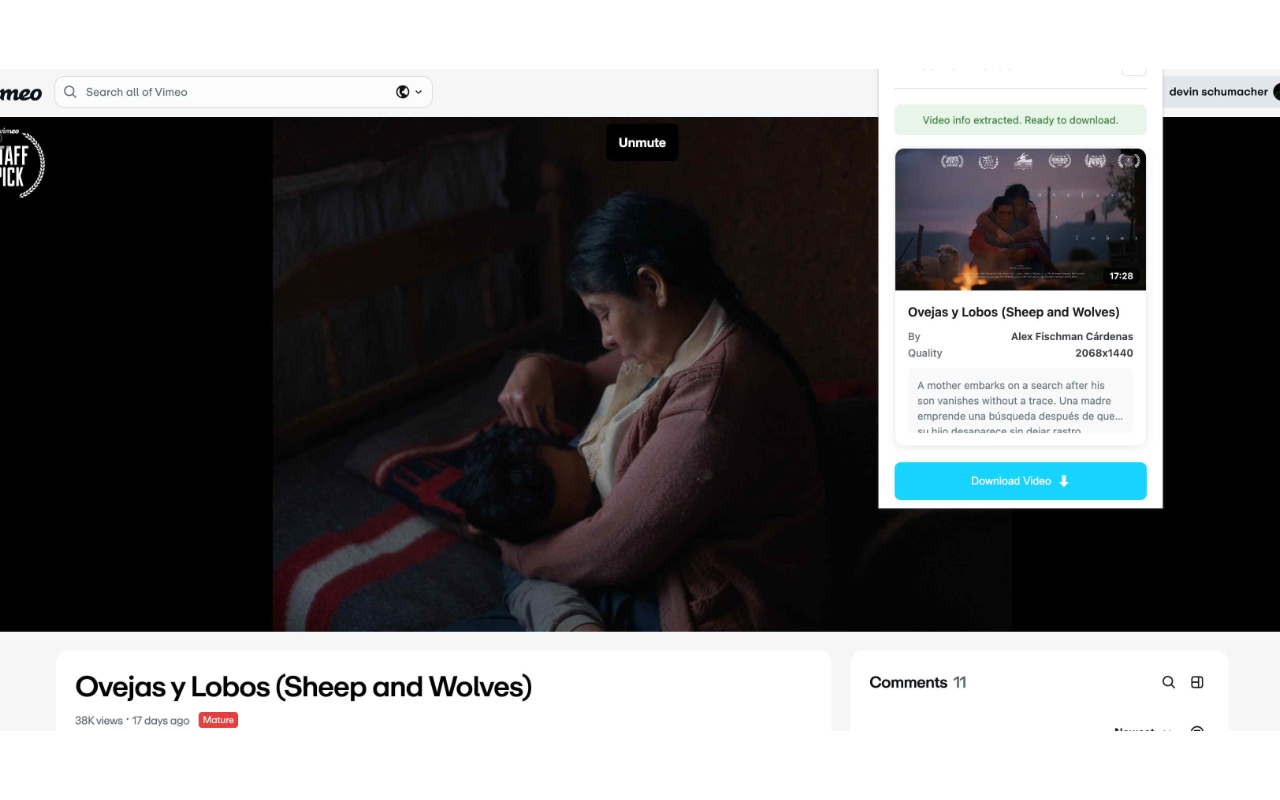 Vimeo Video Downloader - 截图 1