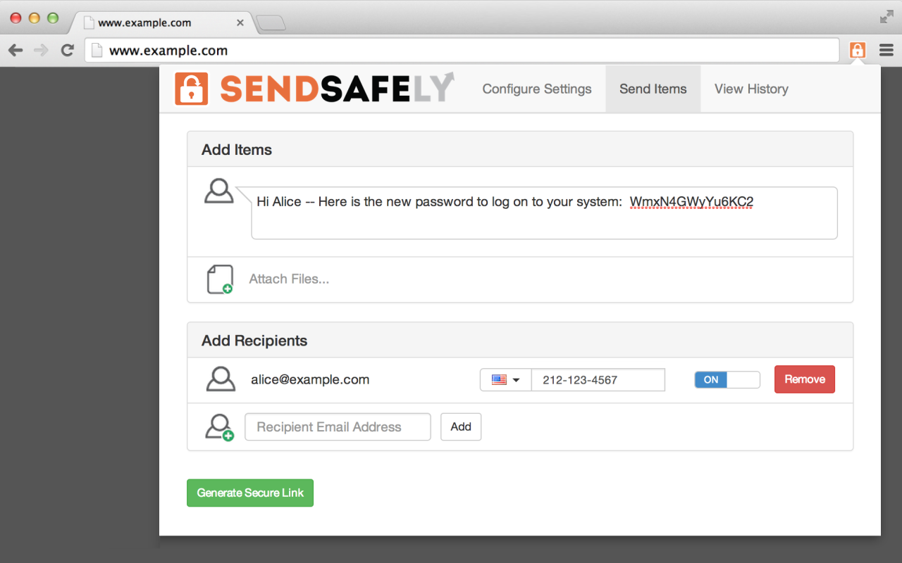 Chrome 和 Gmail 版 SendSafely 加密 - 截图 1