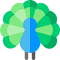 AWS Peacock Management Console