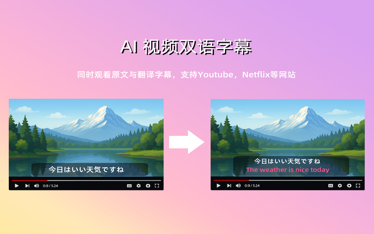TransorAI - 专业的AI翻译工具 | 网页、字幕、PDF、图片实时翻译 - 截图 1