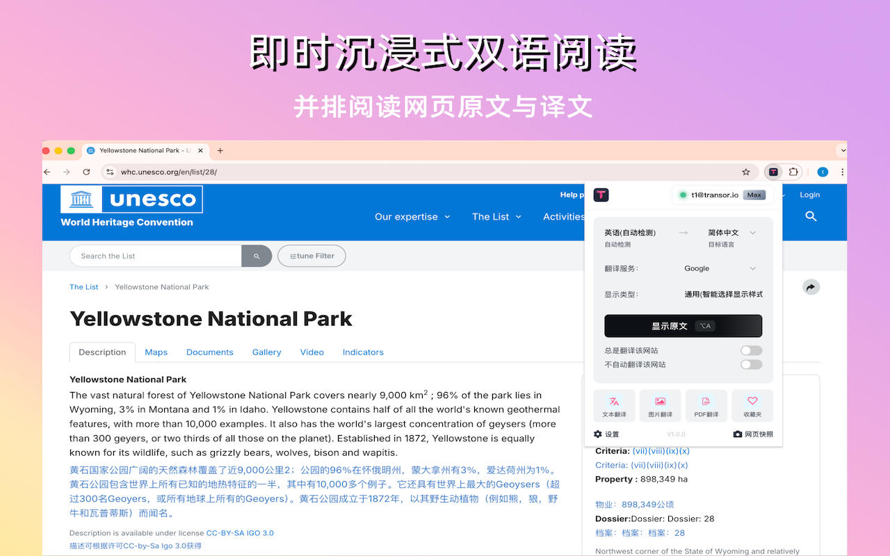 TransorAI - 专业的AI翻译工具 | 网页、字幕、PDF、图片实时翻译 - 截图 3