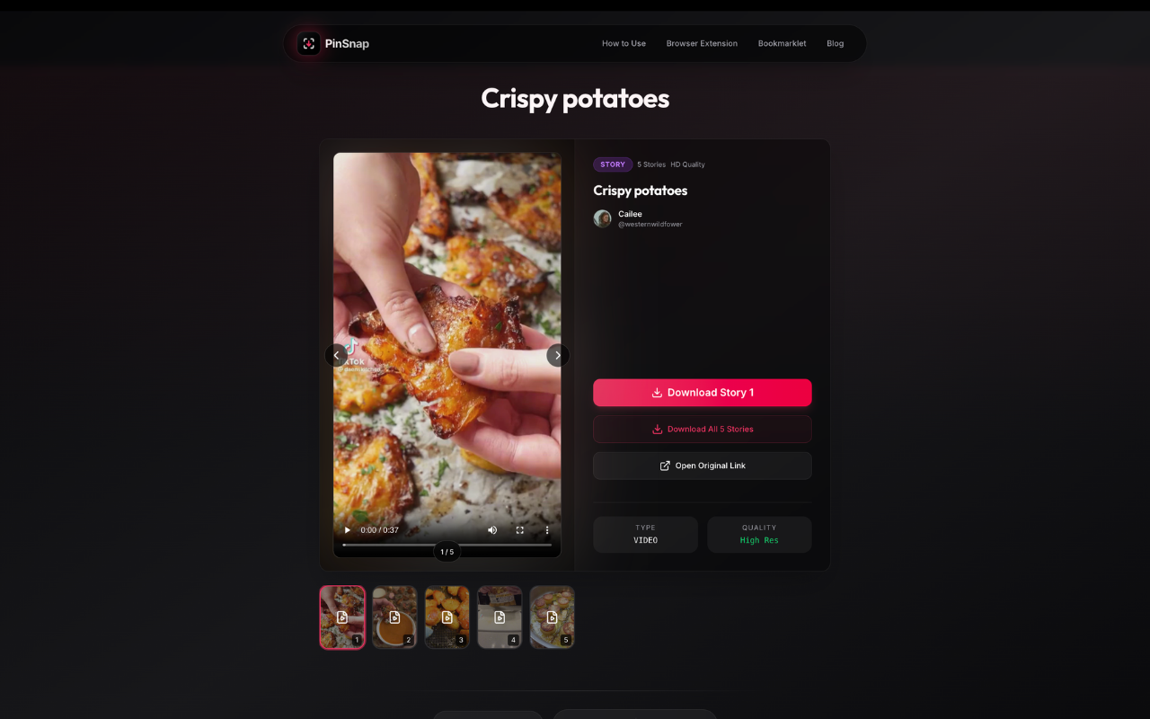 Pinterest Video Downloader - Download HD Videos, GIFs & Images | PinSnap - 截图 1