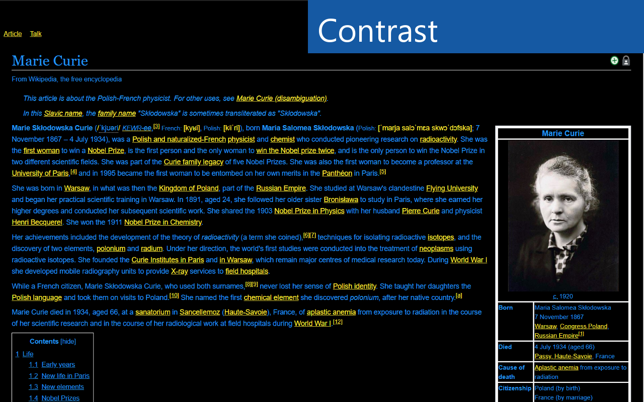 Accessibility - A Powerful Web Assistant - 截图 1