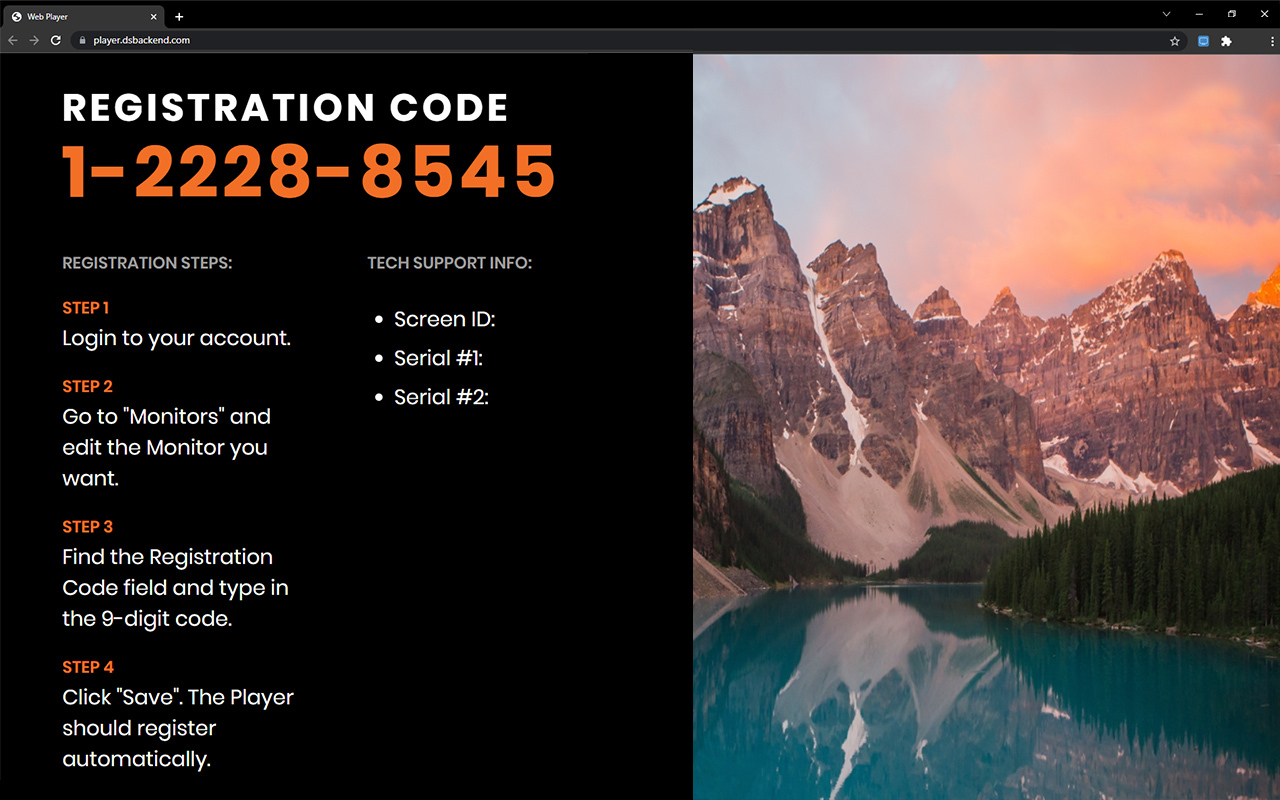 DS-Backend Web Player Extension - 截图 1