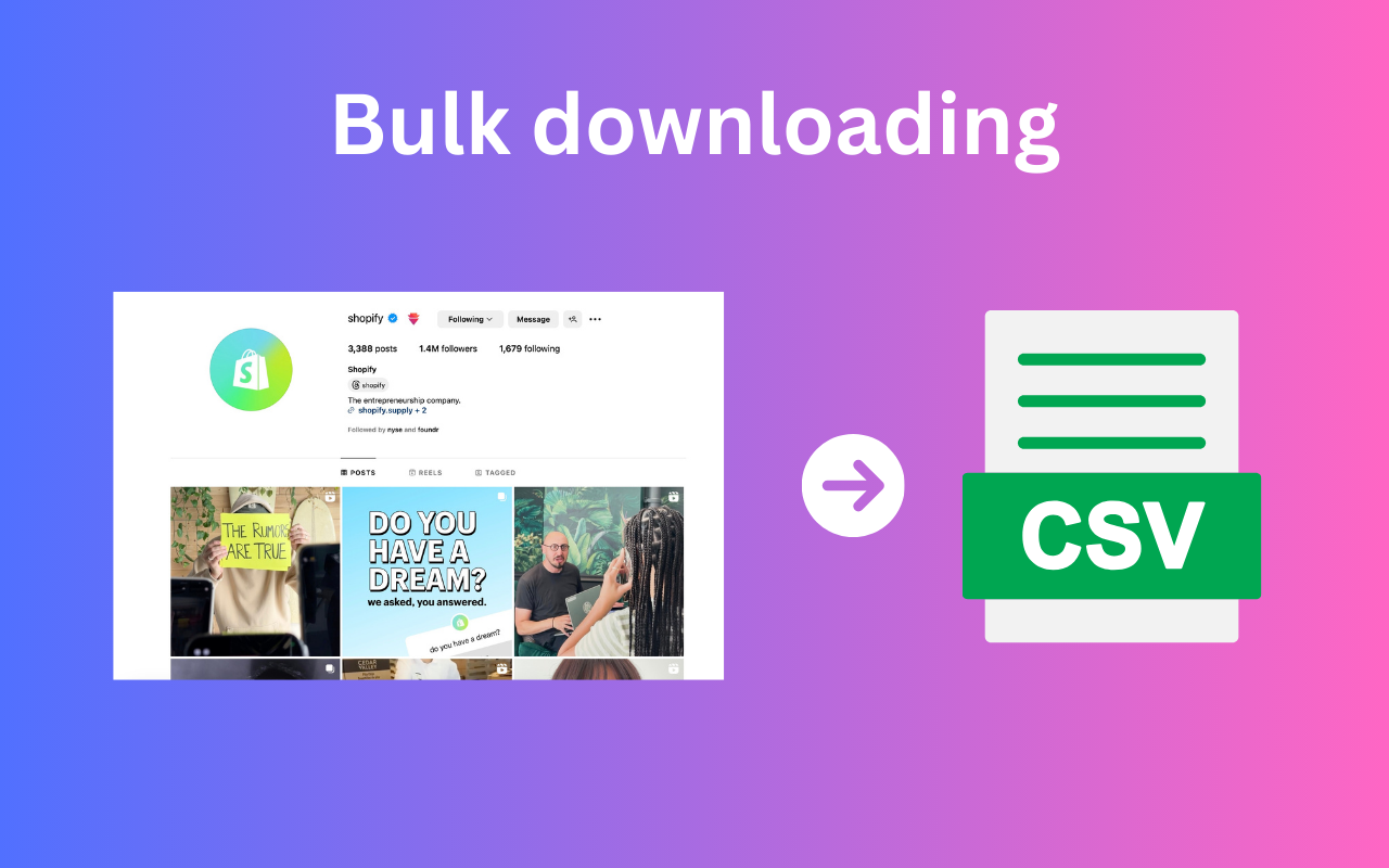 IGFollow - Ins关注者导出工具 - 截图 1