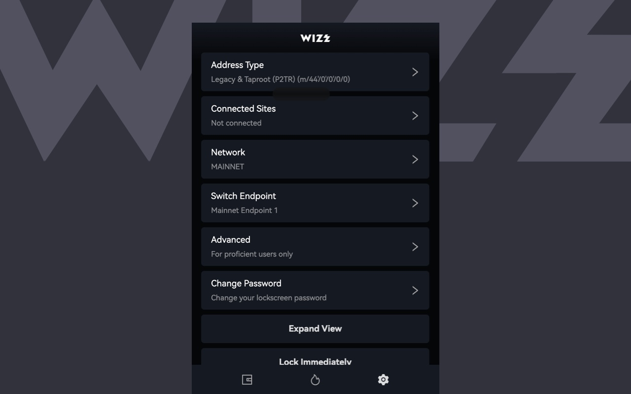 Wizz Wallet - 截图 2