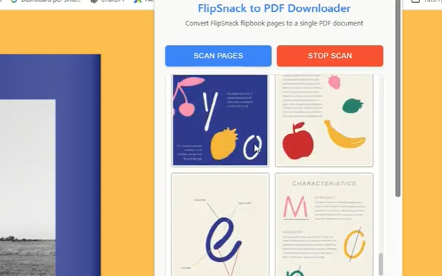 Flipbook to PDF Downloader - 截图 1
