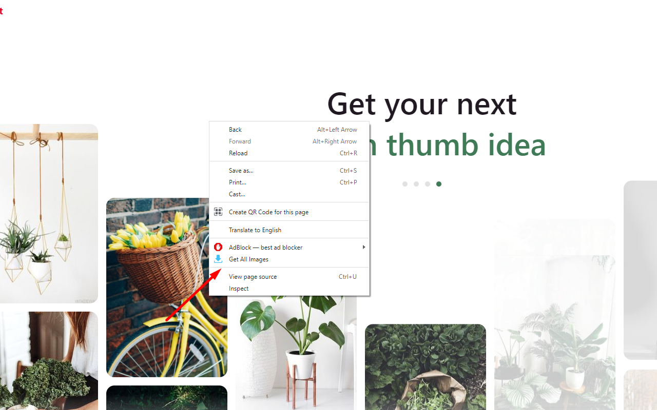 Image downloader Korag - 截图 3