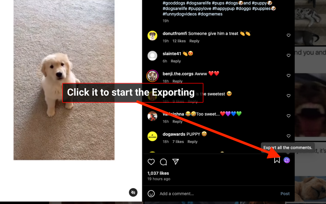 ESUIT | Comments Exporter for Instagram™ - 截图 2