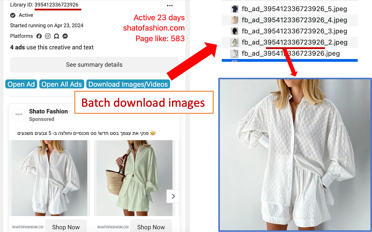 Facebook Ad Library Insights - Filter ADs,Download HD-Videos - 截图 4