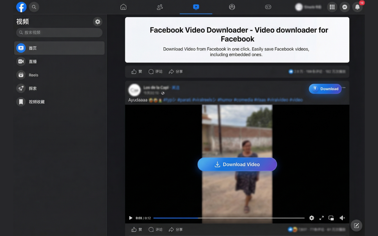 Facebook视频下载器 - 从Facebook下载视频 - 截图 3