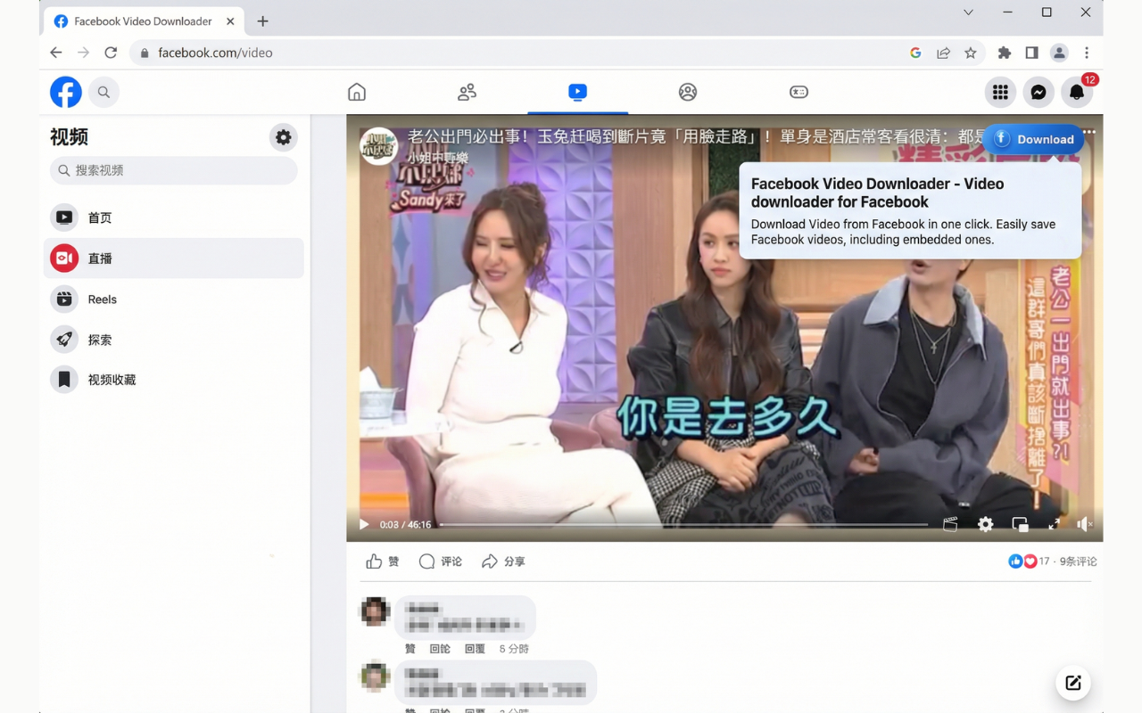 Facebook视频下载器 - 从Facebook下载视频 - 截图 4