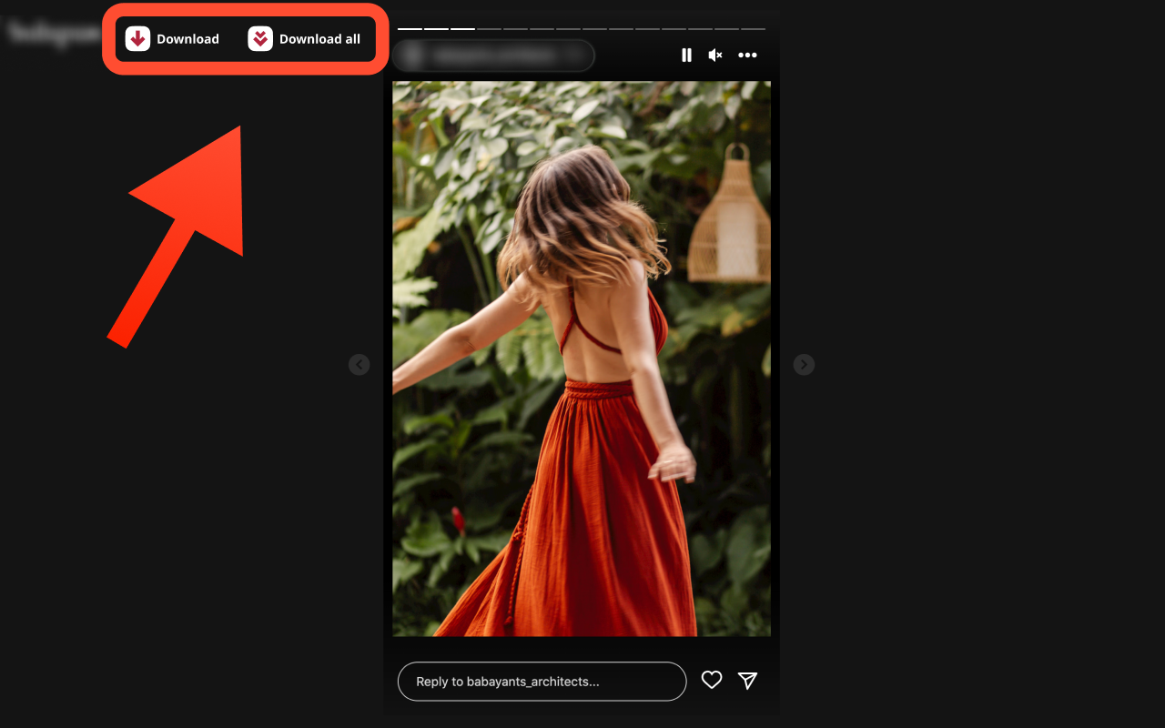 Instagram Downloader - 截图 1