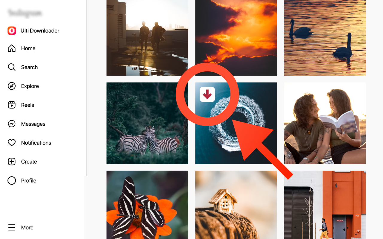 Instagram Downloader - 截图 4