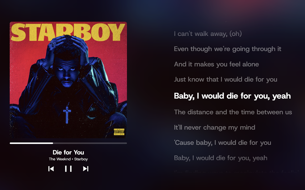 YouTube Music Beautifier - 截图 4